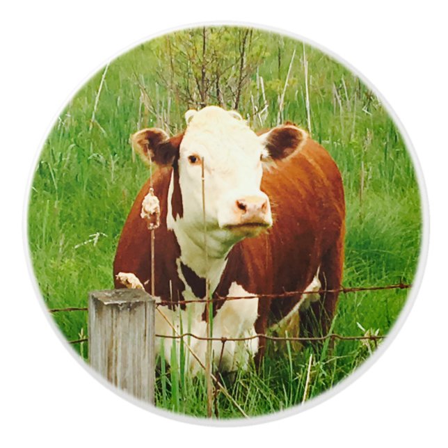 Cute Brown Cow 4Jojo Ceramic Knob (Front)