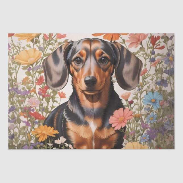 Cute Brown Dachshund And Cosmos Flowers Tissue Paper (Front)