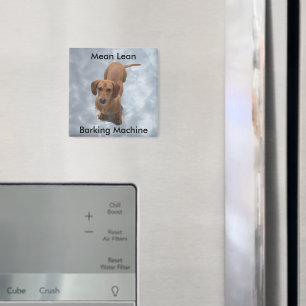 Cute Brown Dachshund Barking Machine Magnet