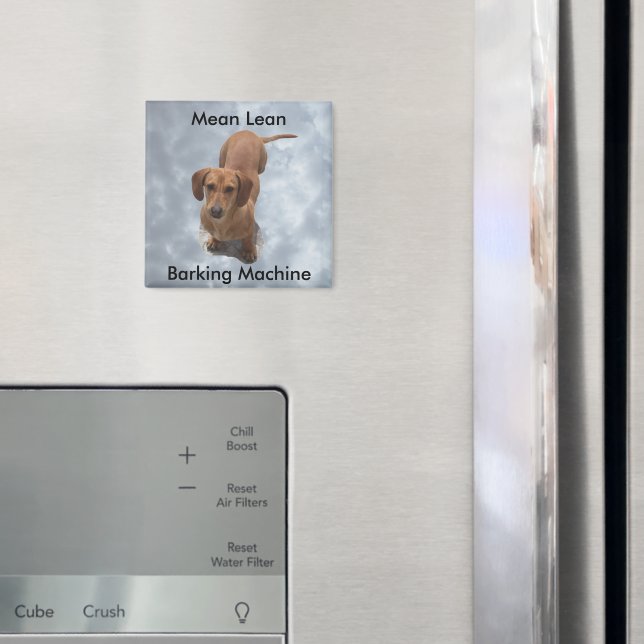 Cute Brown Dachshund Barking Machine Magnet (In Situ (Fridge))