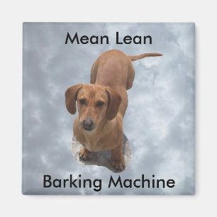 Cute Brown Dachshund Barking Machine Magnet