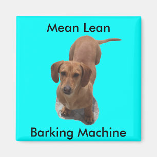 Cute Brown Dachshund Barking Machine Magnet