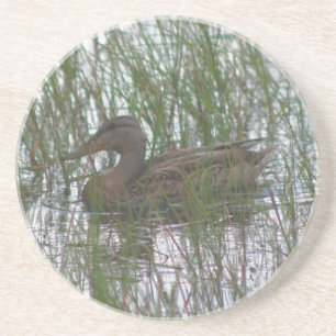 Cute Brown Duck Nature Drink Coaster