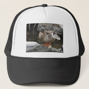 Cute brown duck trucker hat
