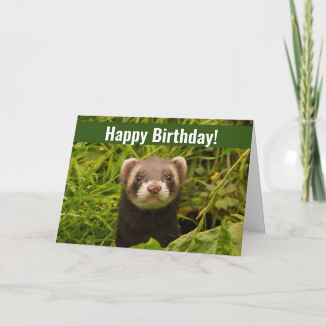 Cute Brown Ferret in the Grass Happy Birthday Card (Front)