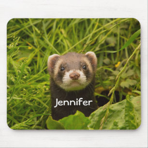 Cute Brown Ferret in the Grass Mouse Pad