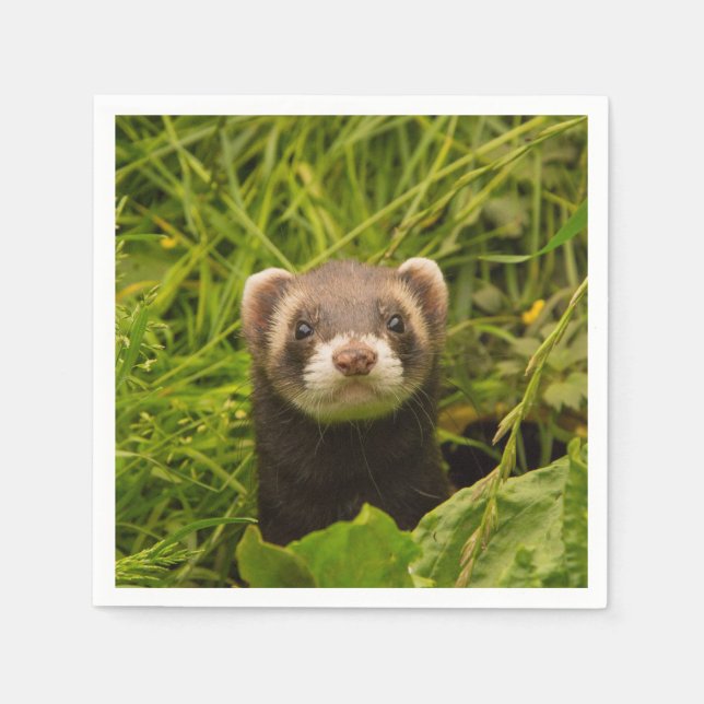 Cute Brown Ferret in the Grass Napkin (Front)