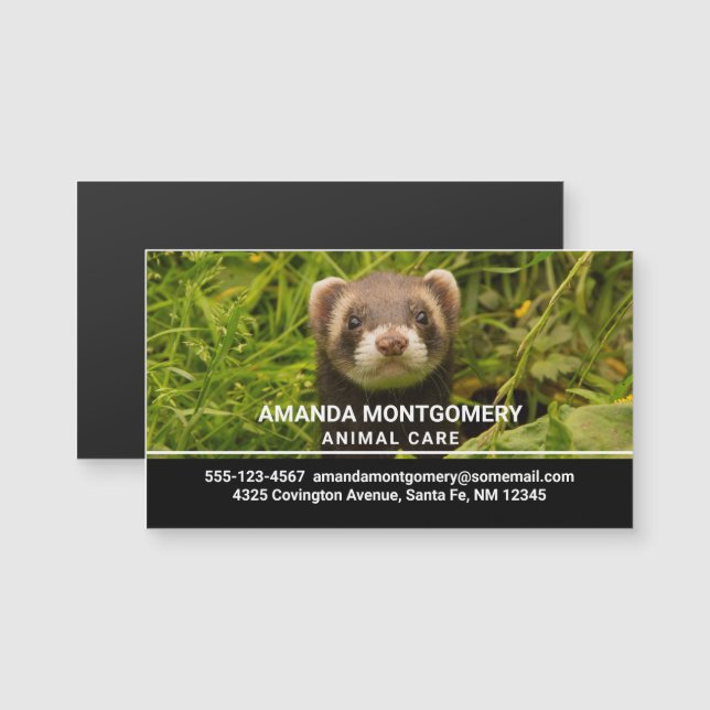 Cute Brown Ferret in the Grass Photo (Front/Back)