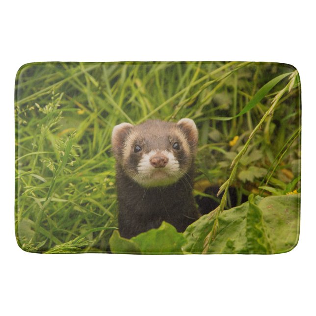 Cute Brown Ferret in the Grass Photo Bath Mat (Front)