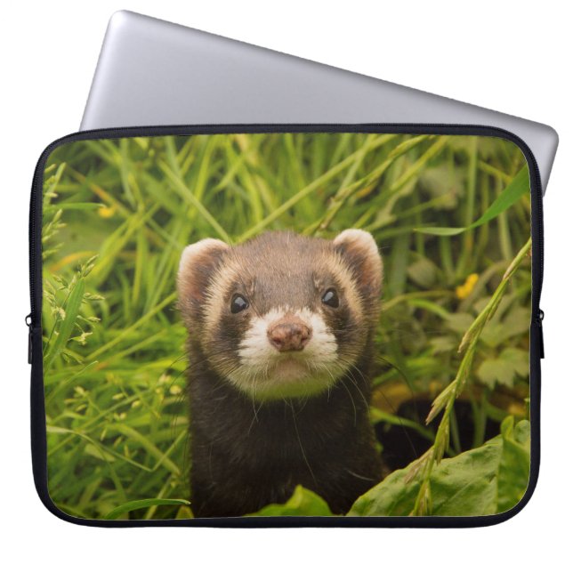 Cute Brown Ferret in the Grass Photo Laptop Sleeve (Front)