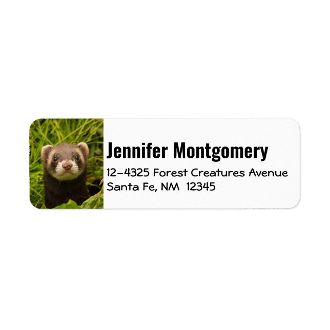 Cute Brown Ferret in the Grass Return Address Label (Front)