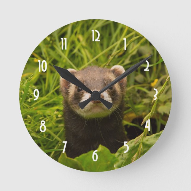 Cute Brown Ferret in the Grass Round Clock (Front)