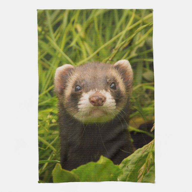 Cute Brown Ferret in the Grass Tea Towel (Vertical)