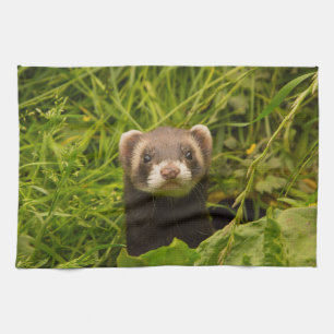 Cute Brown Ferret in the Grass Tea Towel