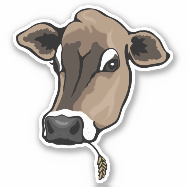Cute Brown Jersey Cow (Front)