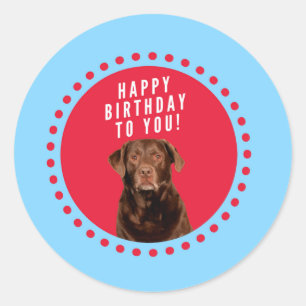Cute Brown Labrador Retriever Dog Happy Birthday Classic Round Sticker