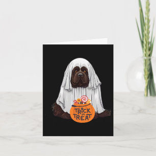 Cute Brown Newfoundland Dog Halloween Card