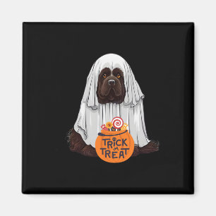 Cute Brown Newfoundland Dog Halloween Magnet