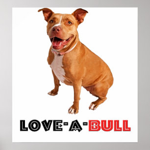Cute Brown Pittie Love-a-Bull Poster