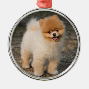 Cute Brown Pomeranian Puppy Dog Metal Ornament