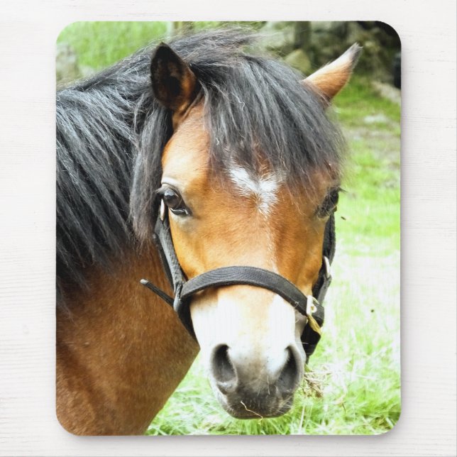 CUTE BROWN PONY   MOUSE PAD (Front)