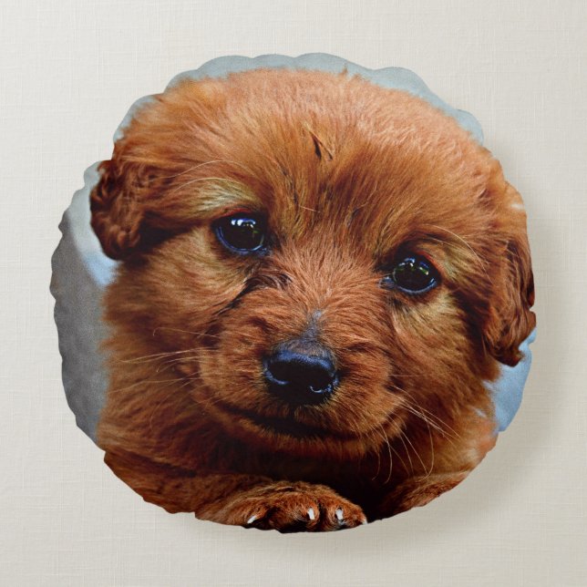 Cute brown puppy portrait round cushion (Front)