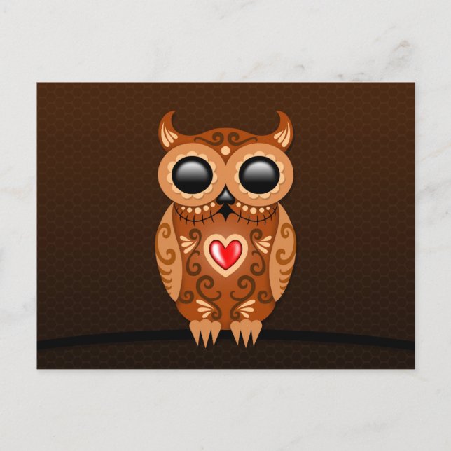 Cute Brown Sugar Owl Postcard (Front)