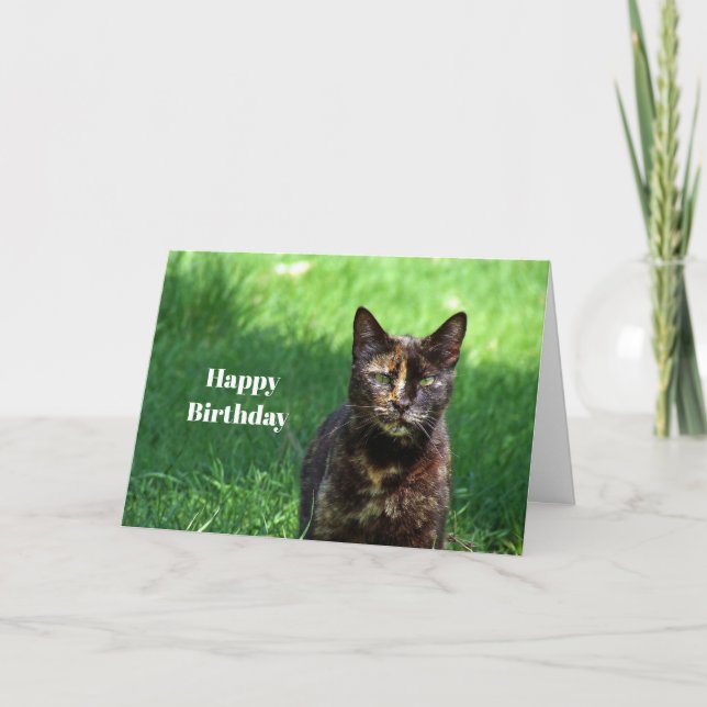 Cute Brown Tortoiseshell Cat Photo Birthday Card (Front)