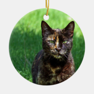 Cute Brown Tortoiseshell Cat Photo Ceramic Ornament