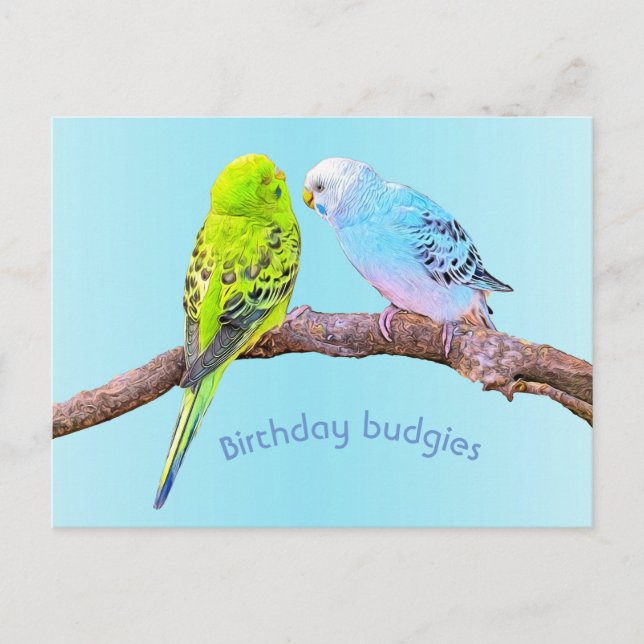 Cute budgie couple - custom postcard (Front)