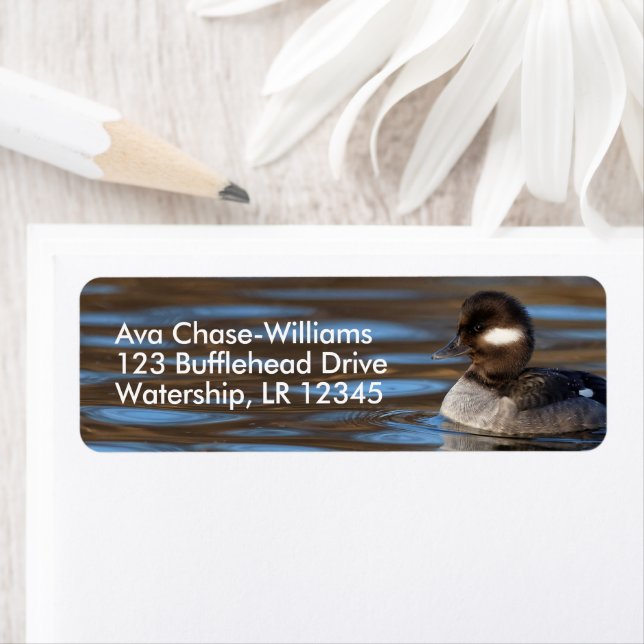 Cute Bufflehead Duck on Sunlit Waters Return Address Label (Insitu)