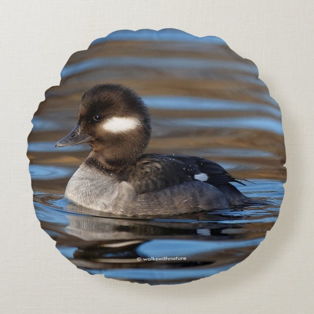 Cute Bufflehead Duck on Sunlit Waters Round Cushion (Front)