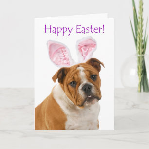 Cute Bulldog Easter Card