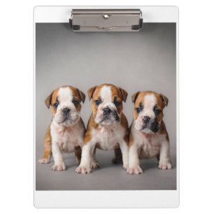 Cute Bulldog Puppies   Dog Lovers Gift Clipboard