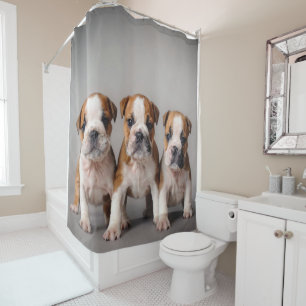 Cute Bulldog Puppies   Dog Lovers Gift Shower Curtain