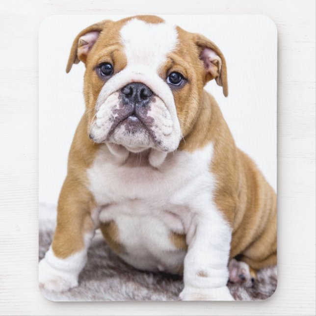 Cute Bulldog Puppy Sitting Down Mouse Pad (Front)