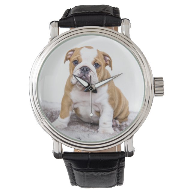 Cute Bulldog Puppy Sitting Down Watch (Front)