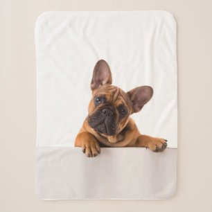 Cute Bulldog   Really Cute, English Bulldog Sherpa Blanket