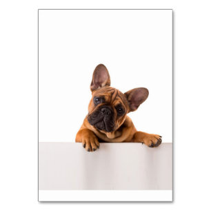 Cute Bulldog Really Cute, English Bulldog Table Number