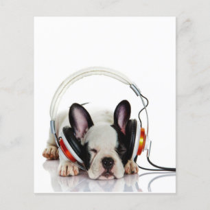 Cute Bulldog Sleeping English Bulldog Lover Flyer