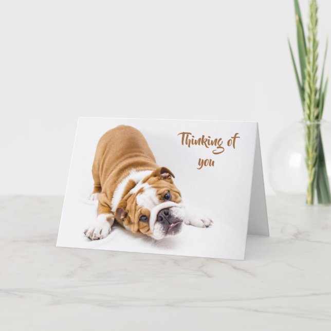 Cute Bulldog, Thinking of You Card (Front)
