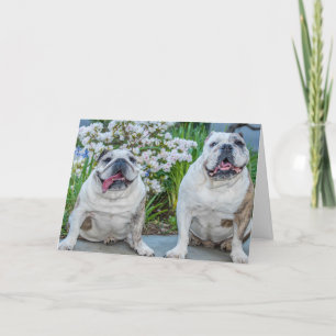 Cute Bulldogs Best Friends Personalised Card