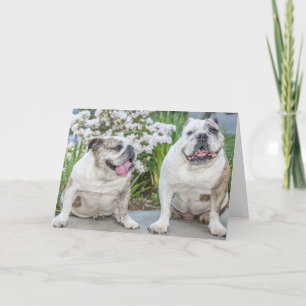Cute Bulldogs Happy Anniversary Personalised Card