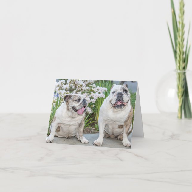 Cute Bulldogs Personalised Greeting Card (Front)