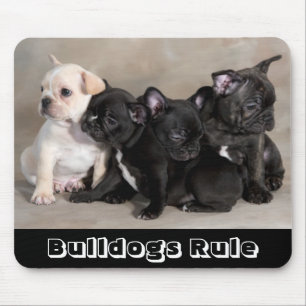 Cute Bulldogs Rule Puppy Dogs Mousepad