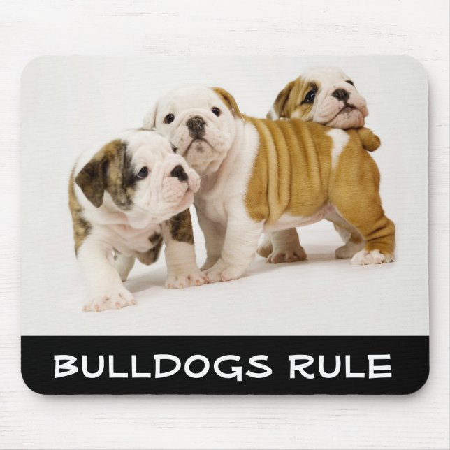 Cute  Bulldogs Rule Puppy Dogs Playing Mousepad (Front)