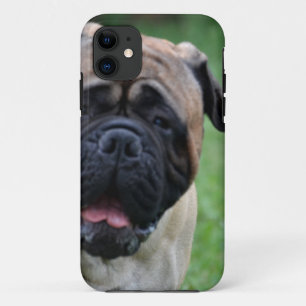 Cute Bullmastiff iPhone 11 Case