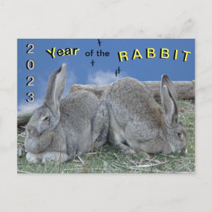 Cute Bunnies 2023 Year of the Rabbit Postcard