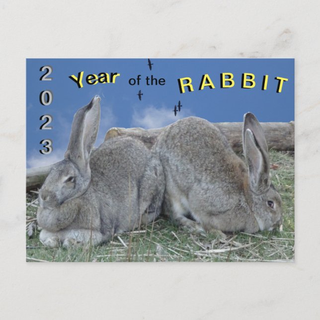 Cute Bunnies 2023 Year of the Rabbit Postcard (Front)