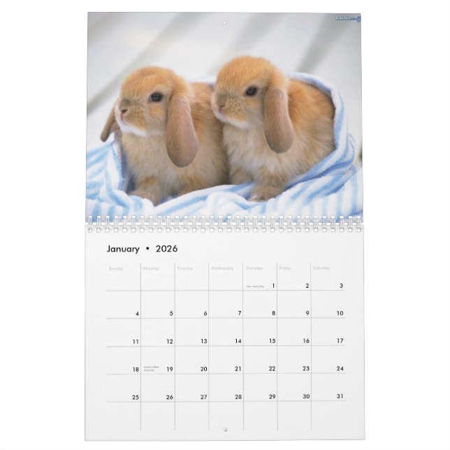 Cute Bunnies Calendar (Jan 2026)